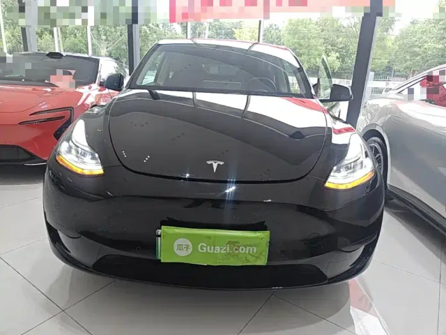 Tesla Model Y — Фото автомобиля 2