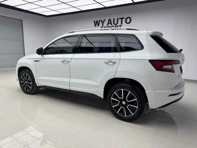 Skoda Karoq — Фото автомобиля 4