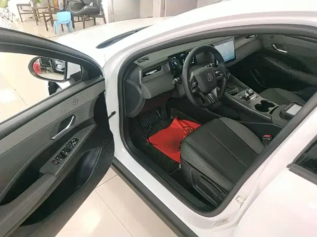 BYD Qin PLUS — Фото автомобиля 15