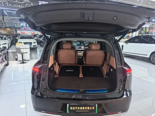 Leapmotor D Series — Фото автомобиля 14
