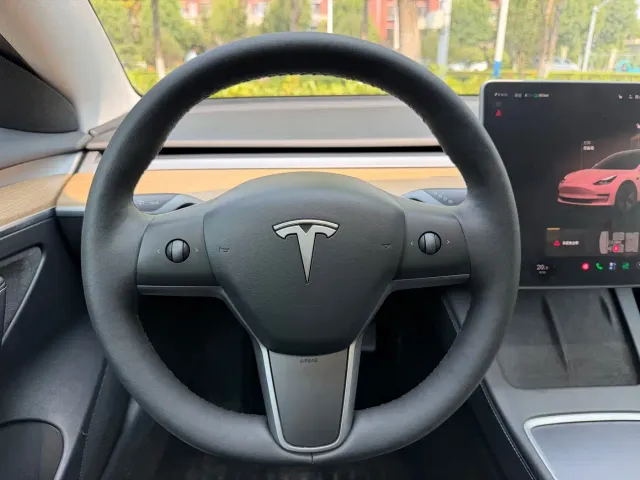 Tesla Model 3 — Фото автомобиля 15