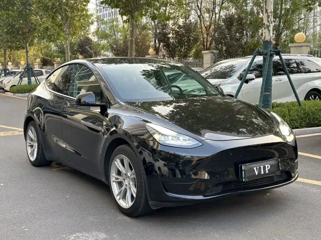 Tesla Model Y — Фото автомобиля 3