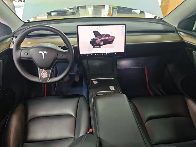 Tesla Model Y — Фото автомобиля 9