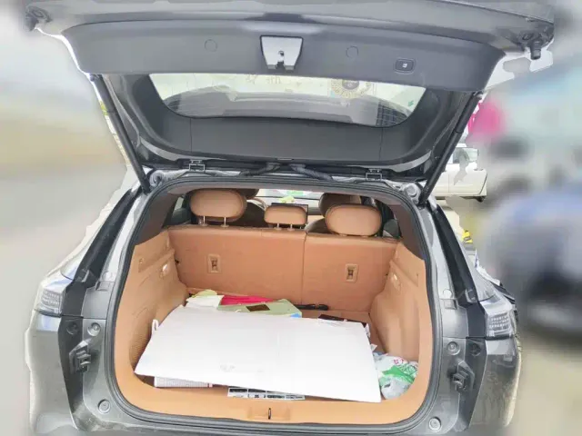 Dongfeng Aeolus L8 — Фото автомобиля 13