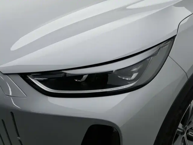 Chery Fulwin T9 — Фото автомобиля 7