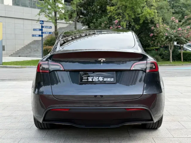 Tesla Model Y — Фото автомобиля 7