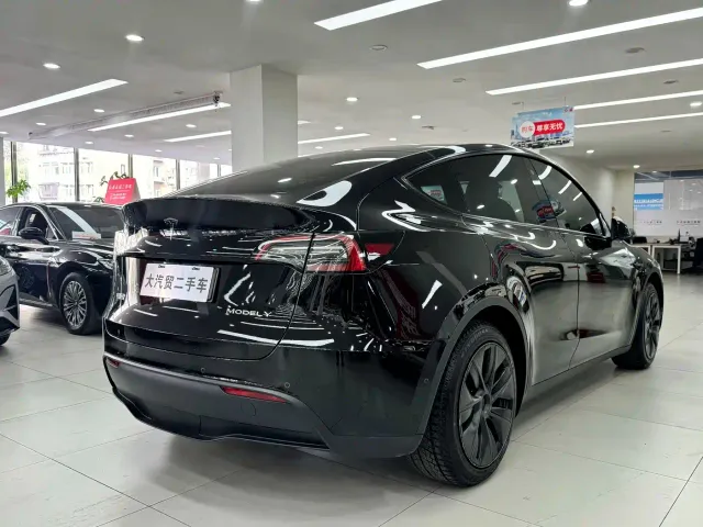 Tesla Model Y — Фото автомобиля 5