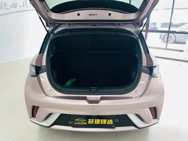 BYD Dolphin — Фото автомобиля 14