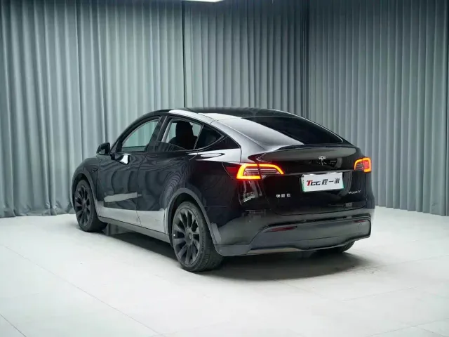 Tesla Model Y — Фото автомобиля 10