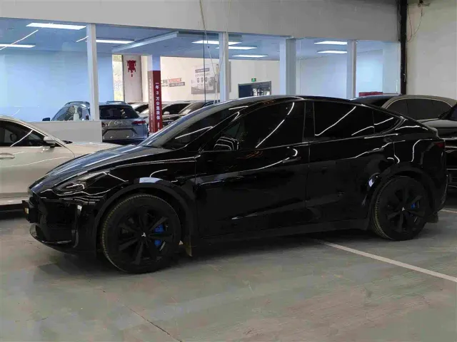 Tesla Model Y — Фото автомобиля 3