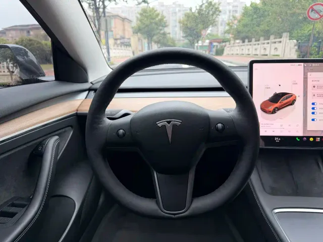 Tesla Model 3 — Фото автомобиля 13