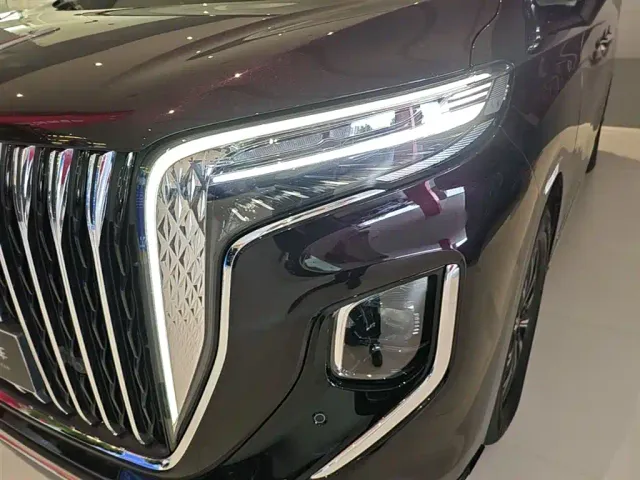 Hongqi HQ9 PHEV — Фото автомобиля 23