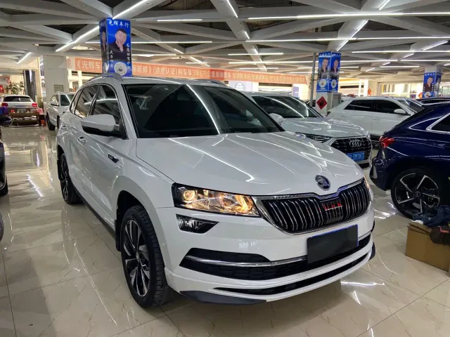 Фотография автомобиля — Skoda Karoq