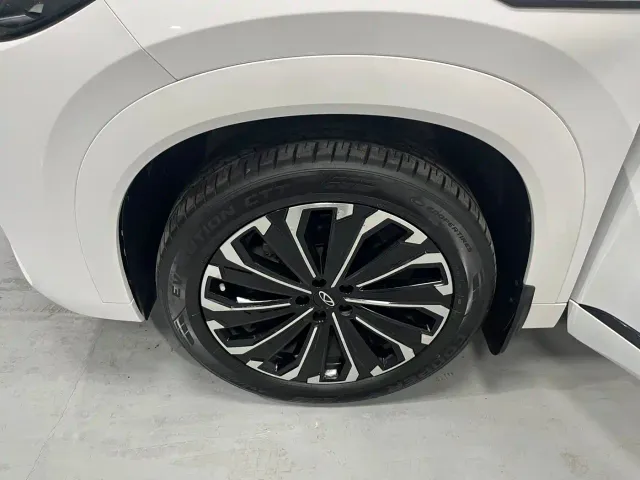 Chery Tiggo 9 — Фото автомобиля 16