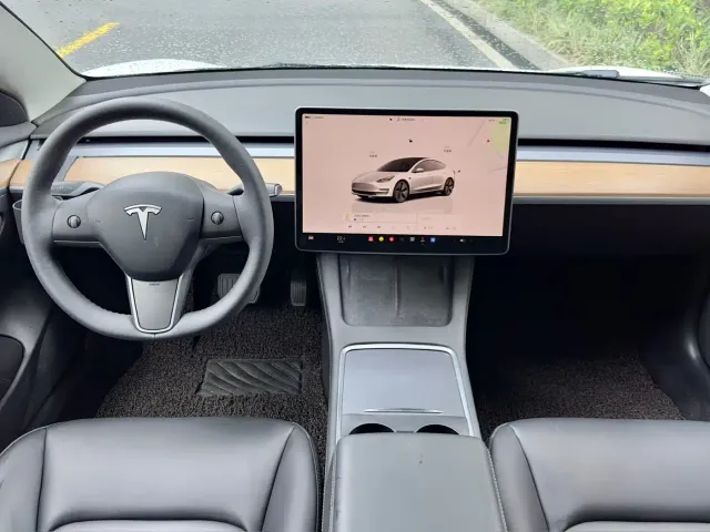 Tesla Model 3 2022 Model Rear-Wheel Drive Version — Фото автомобиля 4