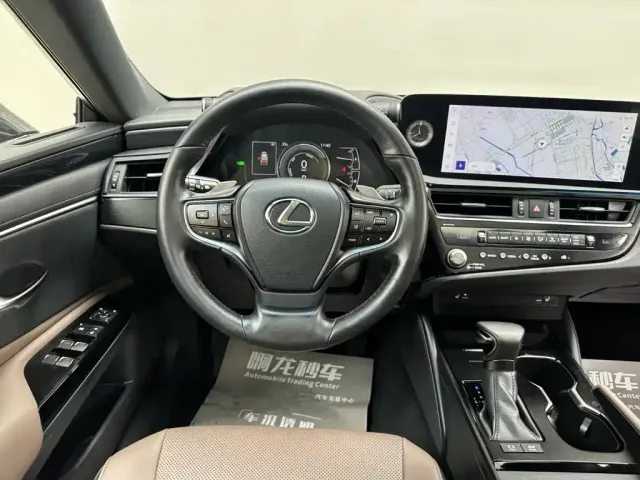Lexus Lexus ES 2022 300h Excellence Edition — Фото автомобиля 9