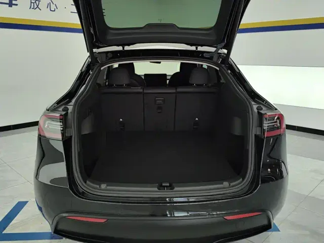 Tesla Model Y — Фото автомобиля 4