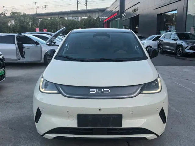 BYD Dolphin — Фото автомобиля 2