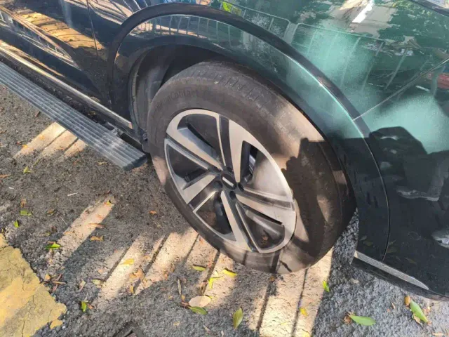 Wey Lanshan — Фото автомобиля 25