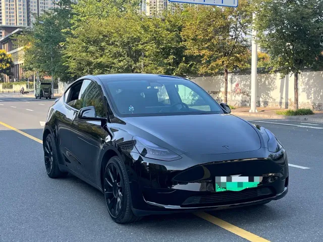 Tesla Model Y — Фото автомобиля 3