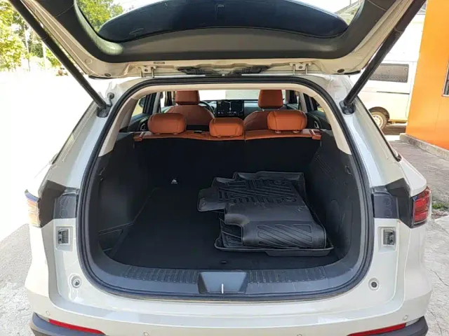 Haval Xiaolong MAX — Фото автомобиля 18