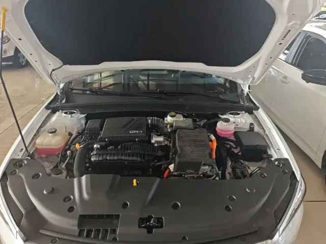 BYD Qin PLUS — Фото автомобиля 19