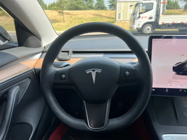 Tesla Model 3 — Фото автомобиля 12