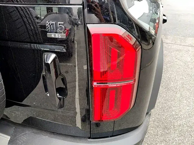 BYD FangChengBao Leopard 5 — Фото автомобиля 7