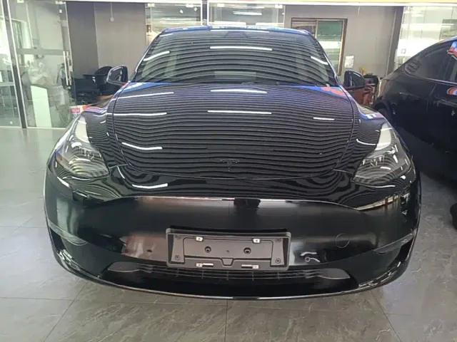 Tesla Model Y — Фото автомобиля 2