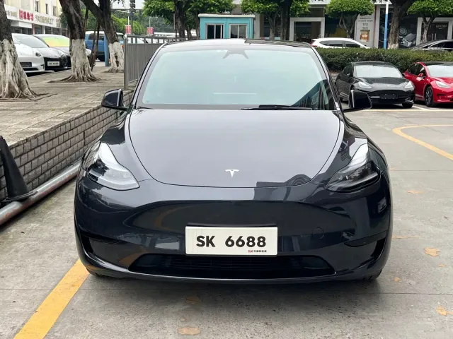 Tesla Model Y — Фото автомобиля 2