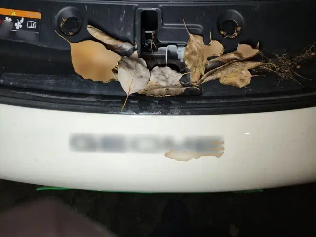 Geely Starry Wish — Фото автомобиля 21