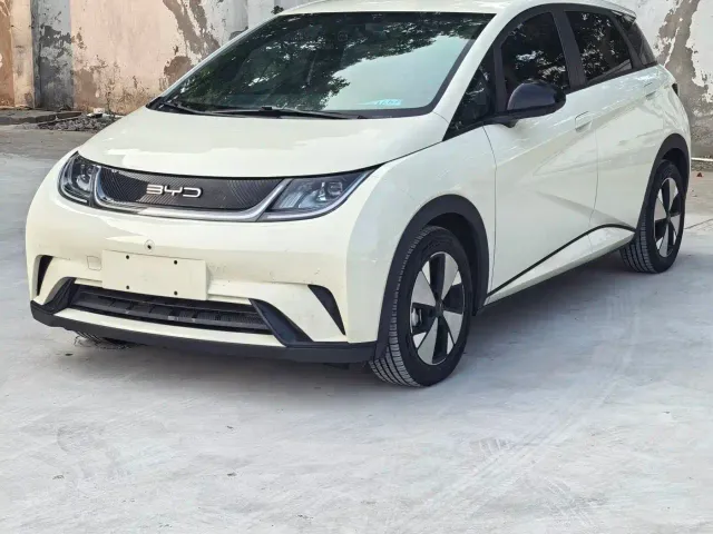 BYD Dolphin — Фото автомобиля 2