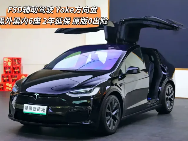 Фотография автомобиля — Tesla Model X