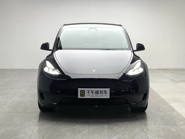 Tesla Model Y — Фото автомобиля 2