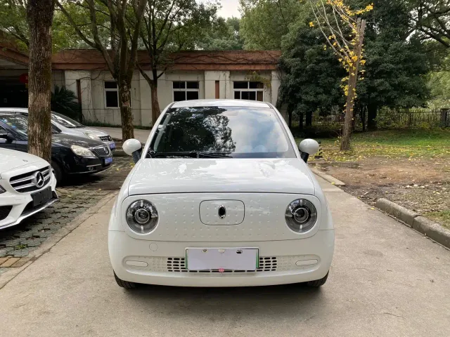 Ora Black Cat — Фото автомобиля 2