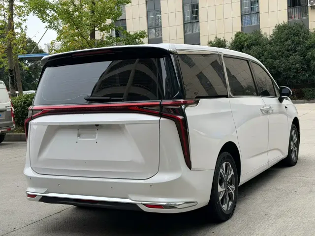 Maxus Dajia 9 — Фото автомобиля 6