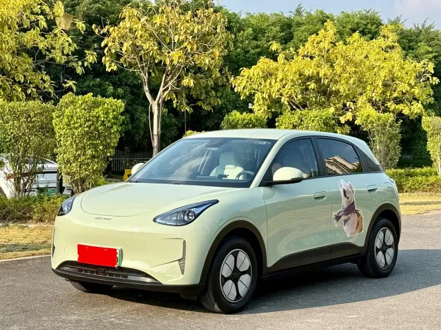 Фотография автомобиля — Geely Starry Wish