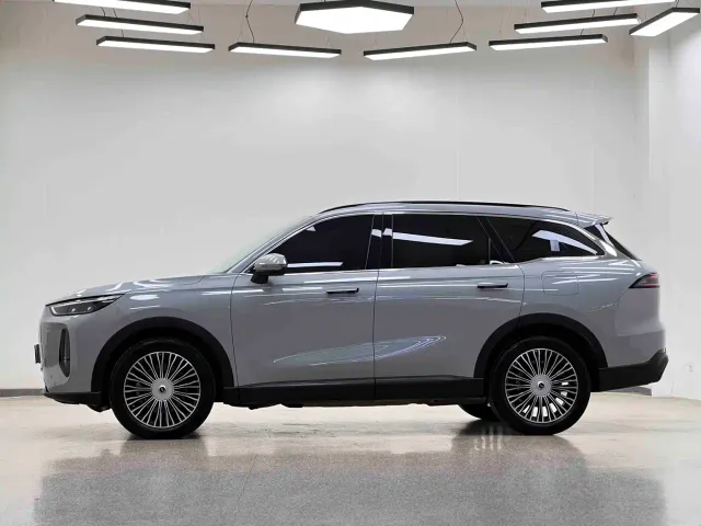 Chery Fulwin T9 — Фото автомобиля 24
