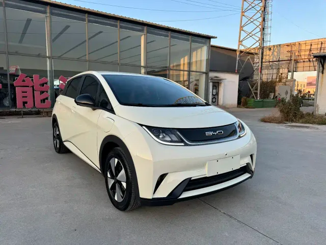BYD Dolphin — Фото автомобиля 3