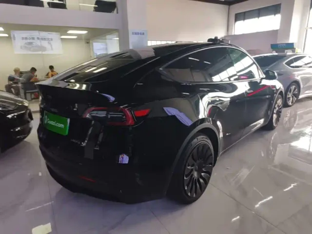 Tesla Model Y — Фото автомобиля 4