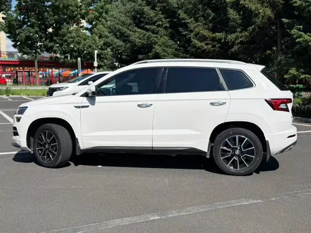 Skoda Karoq — Фото автомобиля 9