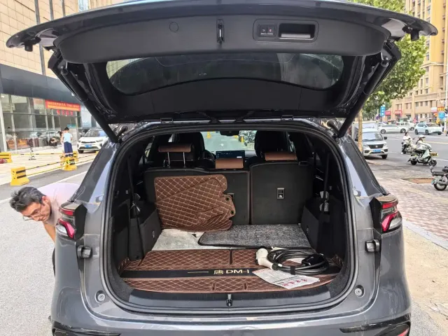 BYD Tang New Energy 2021 DM-i 112KM Honor — Фото автомобиля 9