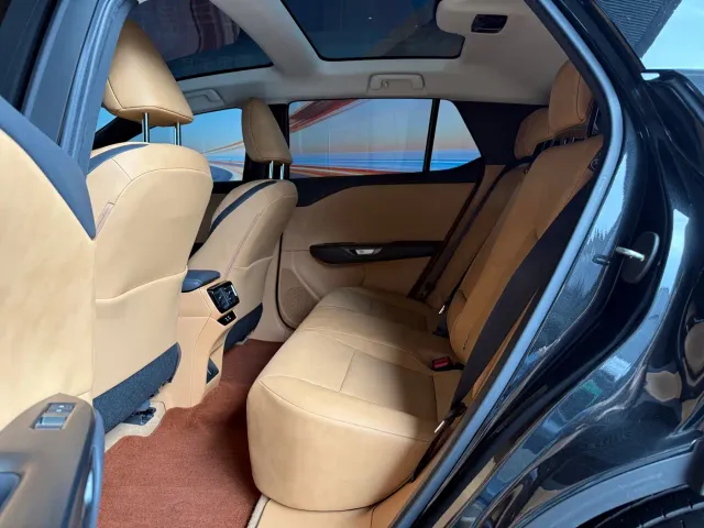 Lexus RZ — Фото автомобиля 12