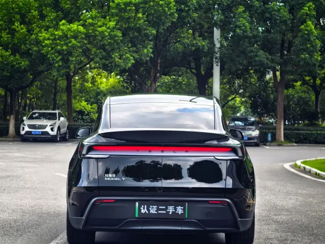 Tesla Model Y — Фото автомобиля 8