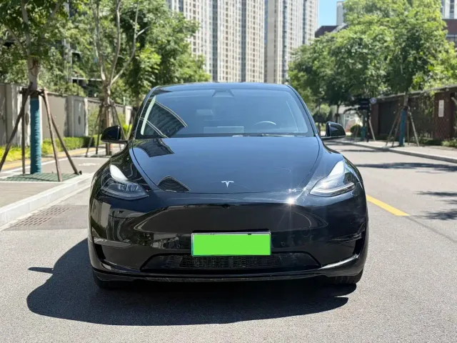 Tesla Model Y — Фото автомобиля 2