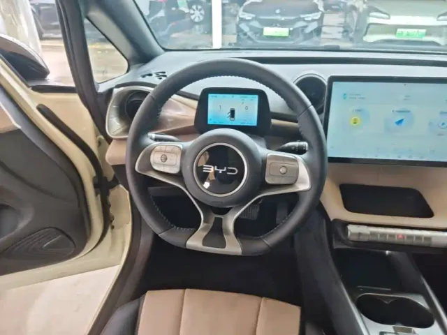 BYD Dolphin — Фото автомобиля 10