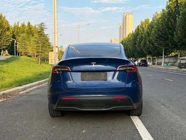 Tesla Model Y — Фото автомобиля 16