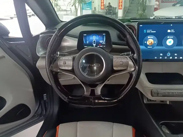BYD Dolphin — Фото автомобиля 10