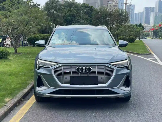 Audi Audi e-tron 2021 50 quattro Exclusive Selection — Фото автомобиля 2
