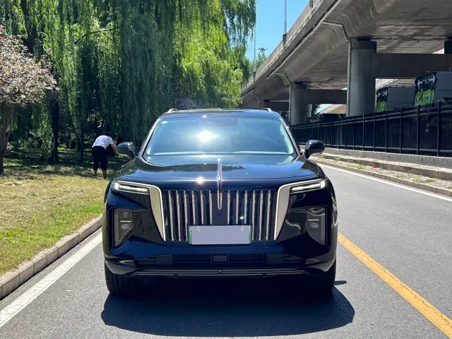 Hongqi E-HS9 — Фото автомобиля 2